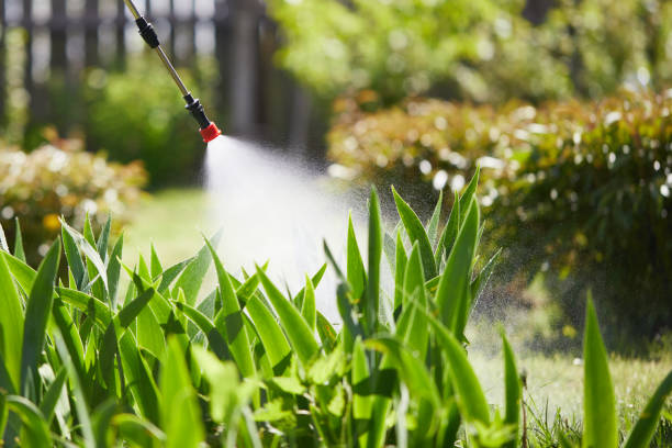 24/7 Emergency Ant Control experts in Ajo, AZ