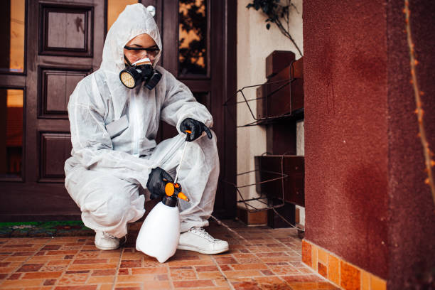 Reliable Ant Control contractor in Ajo, AZ by Nex Pest Control
