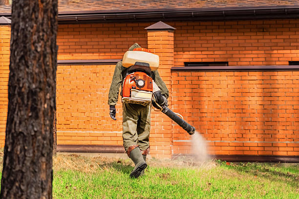 Trusted Ant Control service in Ajo, AZ - Nex Pest Control